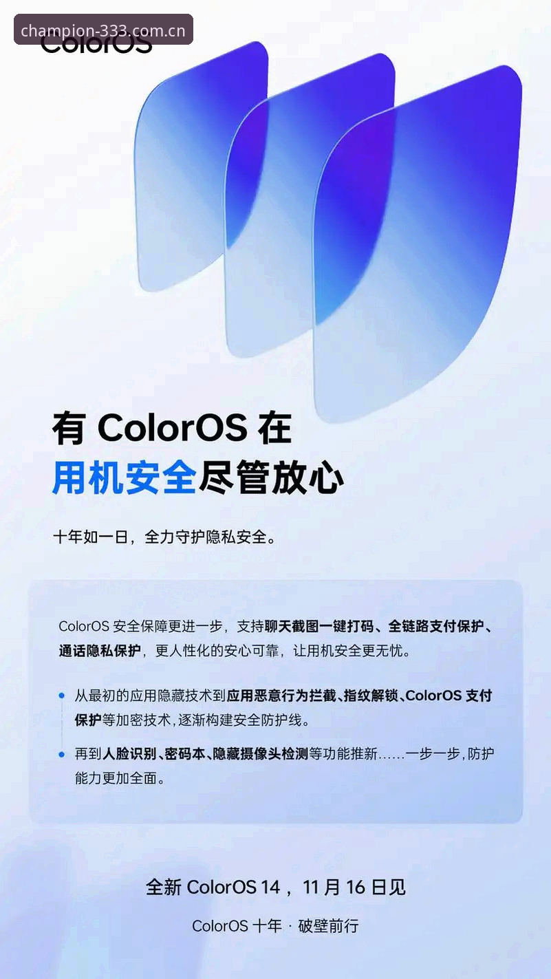 确保体育流畅操作的5项核心保障——从更新到体验的全链路优化