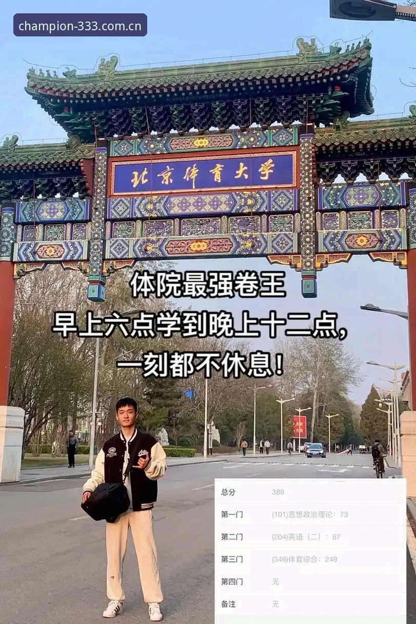 333体育手机版深度评测：移动竞技体验的创新突破